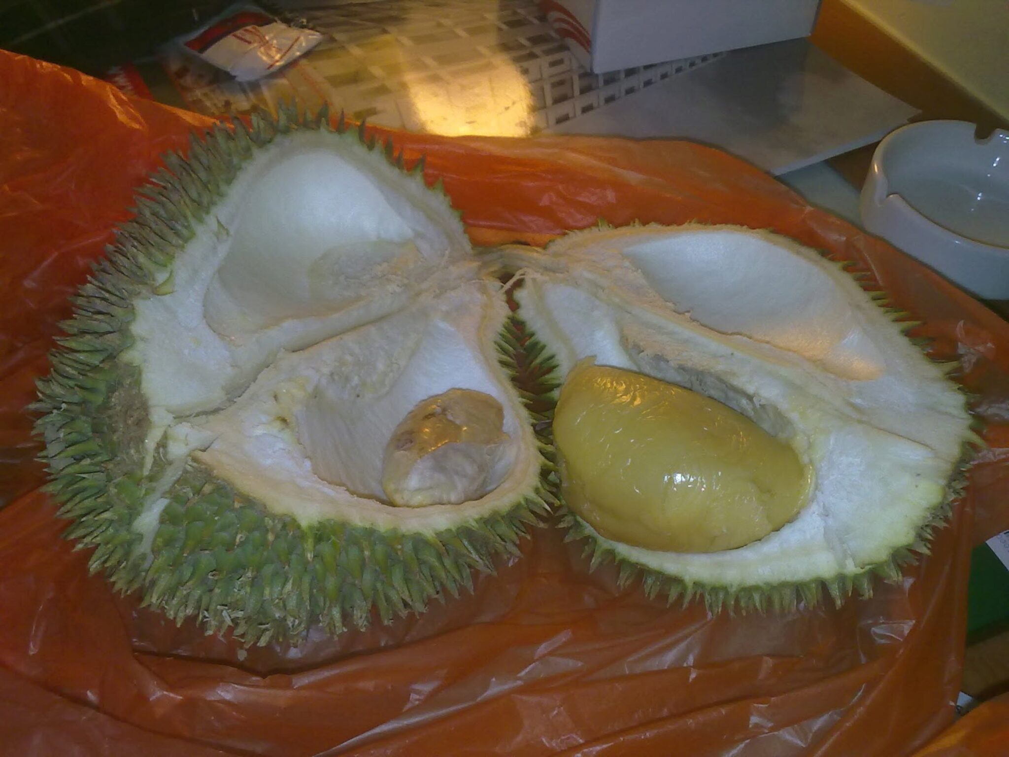 I Cani Possono Mangiare Il Durian Ecco Cosa Devi Sapere