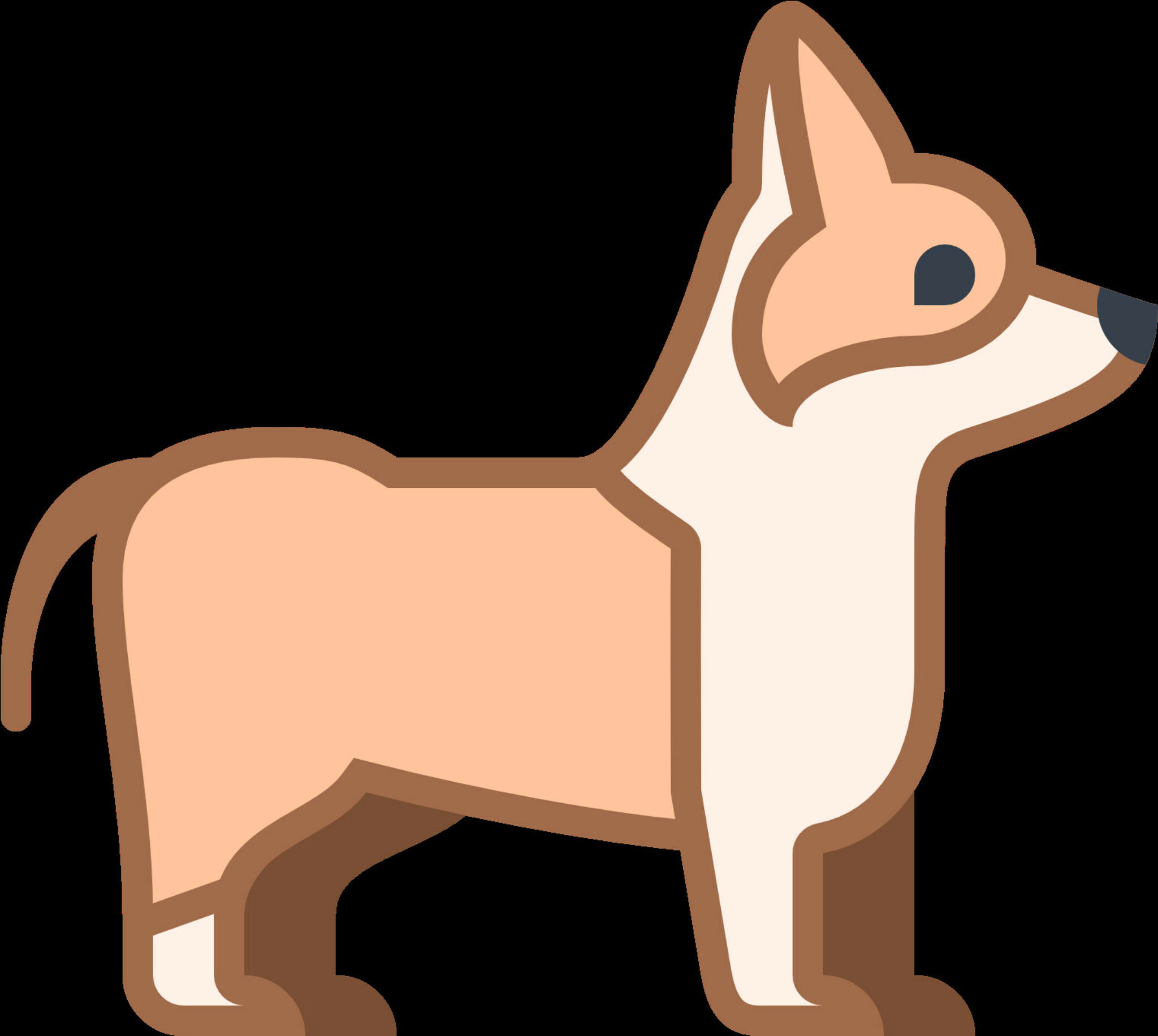 Informazioni Sulla Razza Di Cane Schnauzer Francese In Miniatura. Immagini Tratti E Fatti